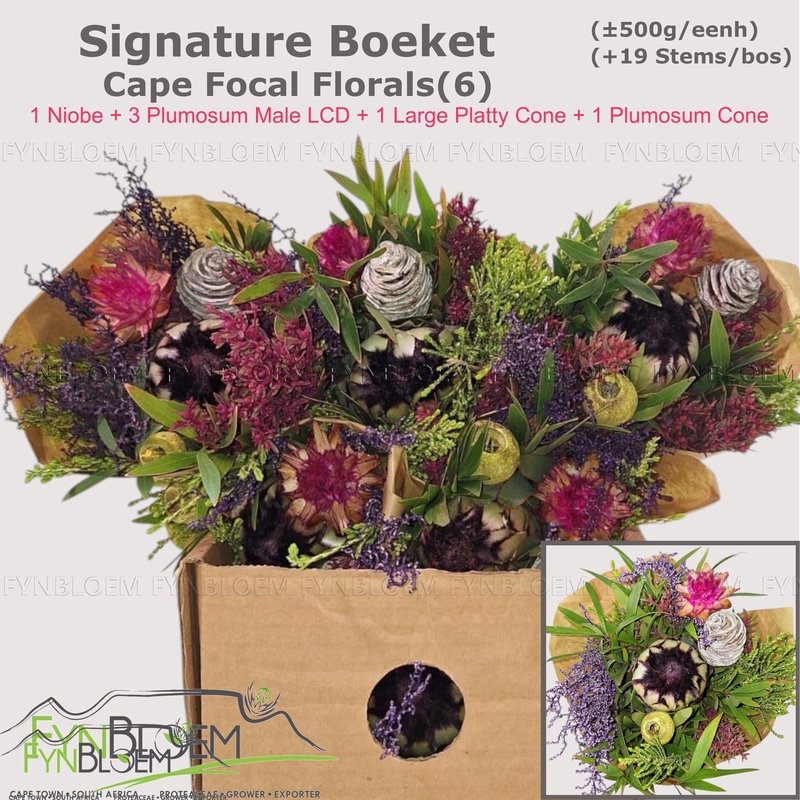 Protea Per Bos