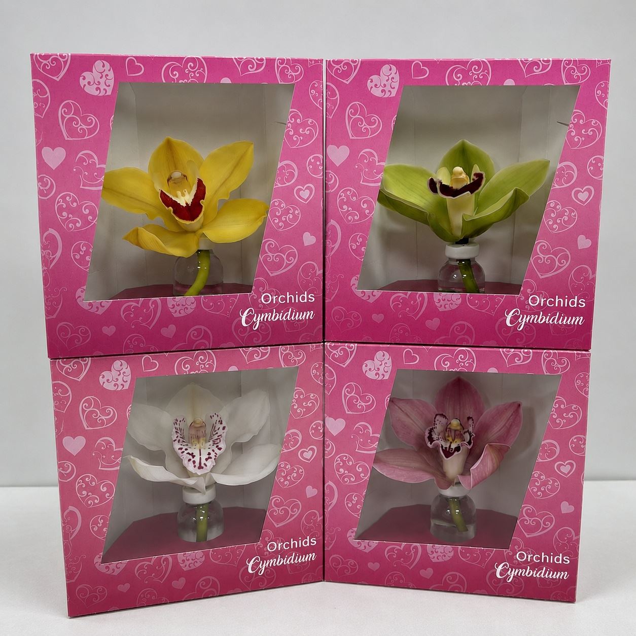 Cymbipak scatola/fiore